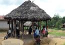 Palava